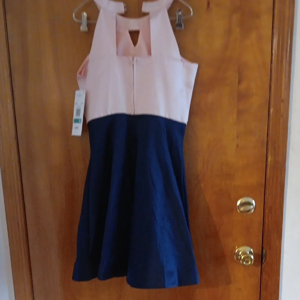 Rare Editions White and Blue Fit and Flare Cocktail Dress - Picture 4 of 4